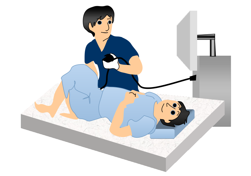 大腸内視鏡検査（大腸カメラ） | 巣鴨駅前胃腸内科クリニック