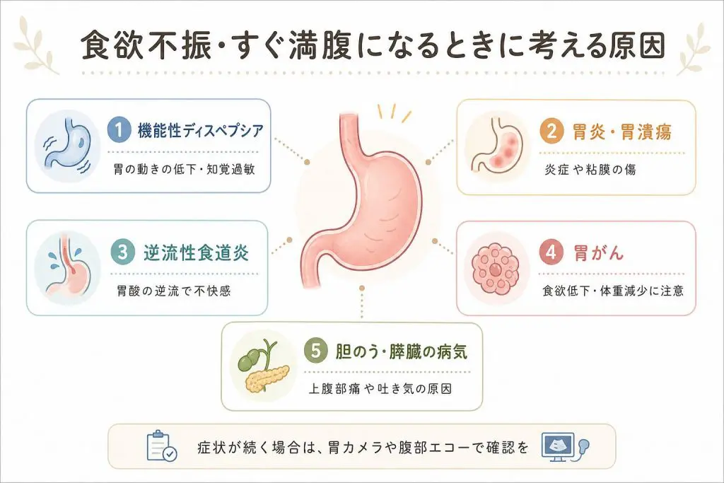 食欲不振・すぐ満腹になる症状は胃がんのことも｜20代女性のスキルス