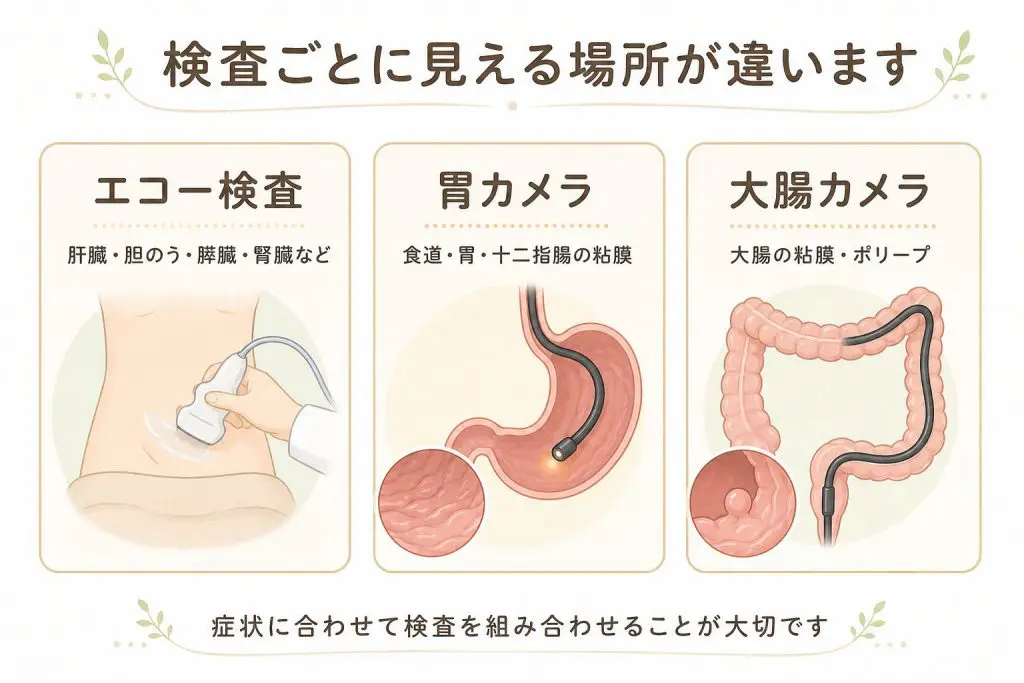 腹部エコー検査で何がわかる？費用・注意点・絶食時間｜巣鴨駅前胃腸